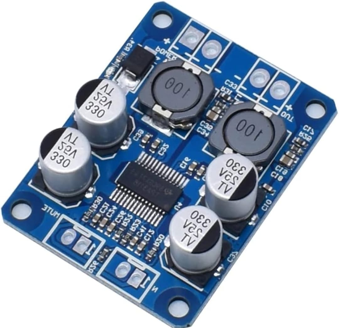 TPA 3118 (28 Pin IC) Mono Amplifier ( 30 Watt)