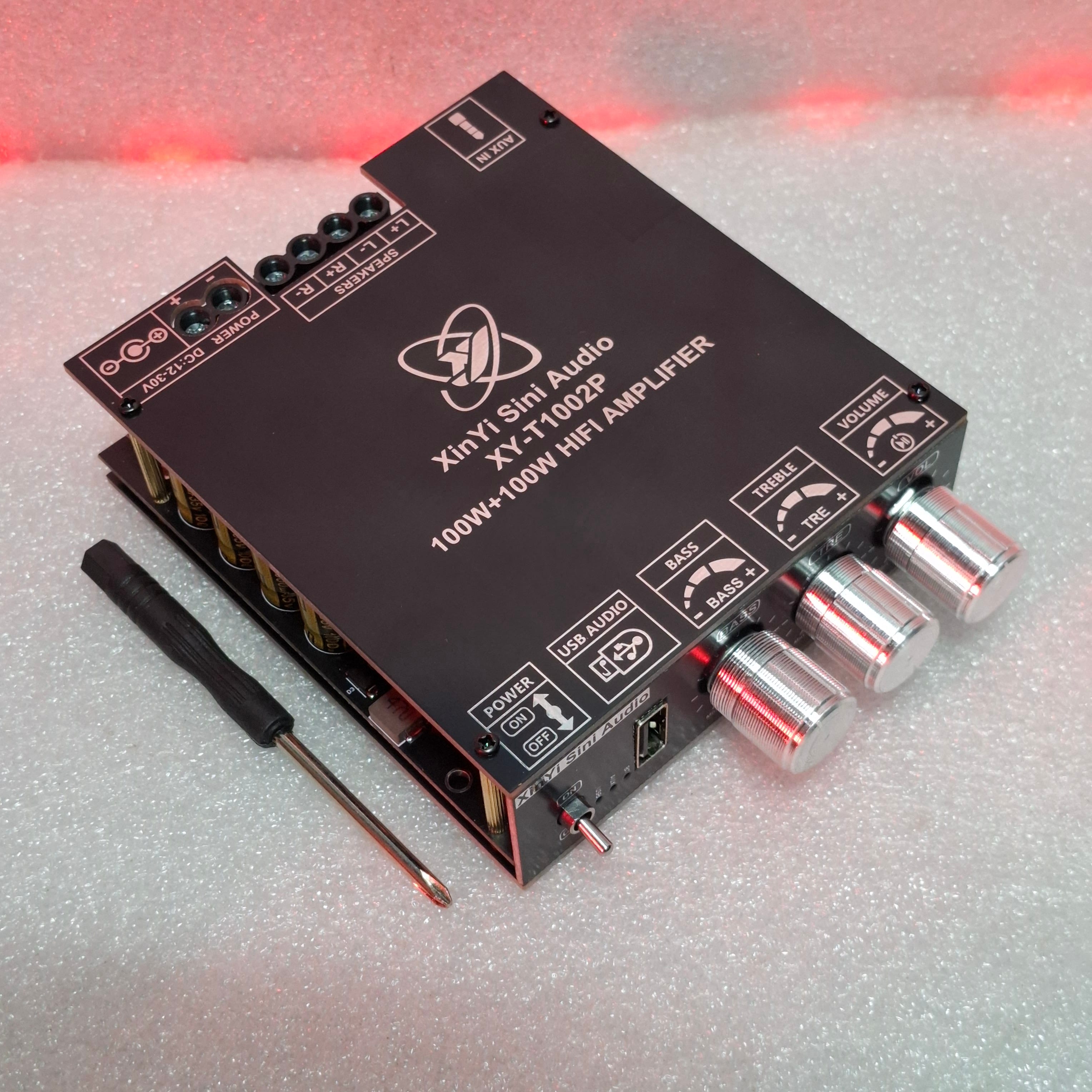 Sini Audio XY-T1002P 100W + 100W TPA 3221 Ampilifier