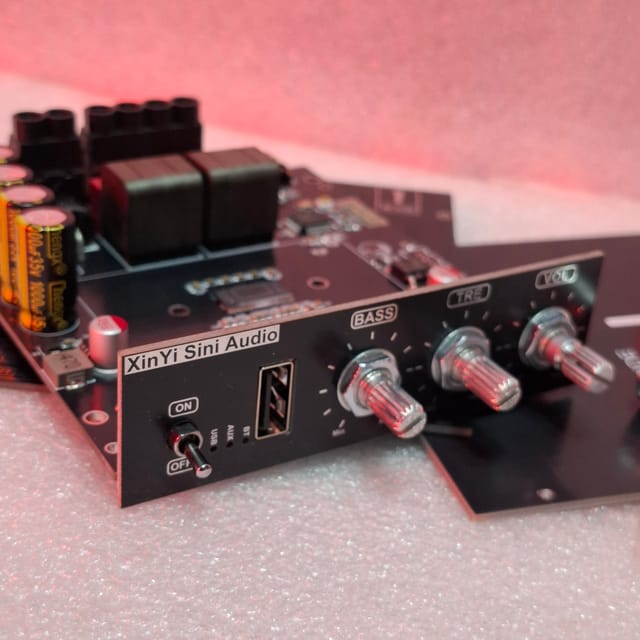 Sini Audio XY-T1002P 100W + 100W TPA 3221 Ampilifier_img_8